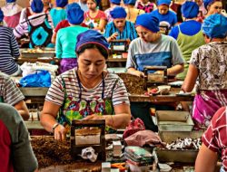 Bye-Bye Gudang Garam & HM Sampoerna! Raksasa Rokok Wismilak Panen Durian Runtuh, Cuan Naik Drastis!