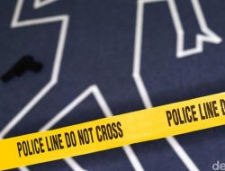 Dua Kakek di Bone Terlibat Duel Akibat Sapi Masuk Kebun