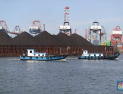 DPR Minta Aturan Larangan Ekspor Batu Bara Ditinjau Ulang