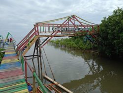 Hutan Mangrove Lantebung jadi Unggulan Lorong Wisata di Tamalanrea