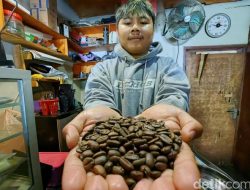 Harga Kopi di Enrekang Naik Drastis, Tembus Rp 25.000/Liter