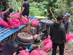 Hilang Keseimbangan, Truk Pengangkut 7 Ton Bawang di Enrekang Masuk Jurang