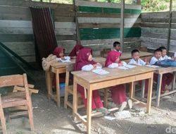Pemkab Enrekang Usulkan 268 Sekolah Dapatkan Bantuan Pembangunan Gedung Ke Kemendikbud Tahun 2023