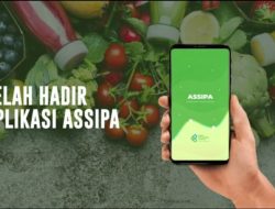 Tak Perlu ke Pasar, Cek Harga dan Stok Pangan Lewat Aplikasi Assipa