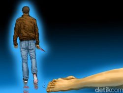 Detik-detik Pria di Luwu Tikam 2 Wanita hingga 1 Orang Tewas