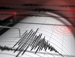 Gempa M 4,4 Guncang Mamuju Biduk-Biduk Kaltim, Berpusat di Laut