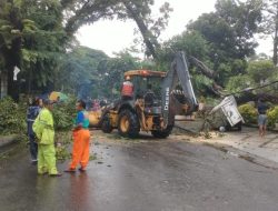 Pohon Tumbang Depan Rumah Pengusaha Aksa Mahmud, Menimpa 2 Unit Mobil