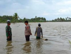 Pencarian Wanita Terseret Banjir Pinrang Terkendala Area Persawahan Tergenang