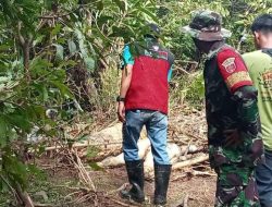 2 Jenazah Diduga Korban Longsor` Wilayah Maros Ditemukan di Dua Tempat Berbeda