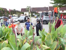 Tata Taman Kota, Fatmawati Rusdi Lakukan Peninjauan Langsung