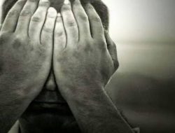 Toko dan Gudang Alfamidi di Jayapura Papua Tak Berizin Pemda Papua Tak Berdaya menertibkan, Ada Apa?