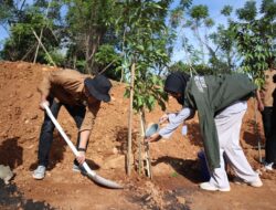 Wali Kota Danny Pomanto-Bima Arya dan Ratusan Delegasi YCC Apeksi Gelar Penghijauan di Tokka Tena Rata