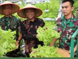 Dinas Ketahanan Pangan Dorong Kemandirian Pangan Lorong Wisata melalui Pengembangan KWT